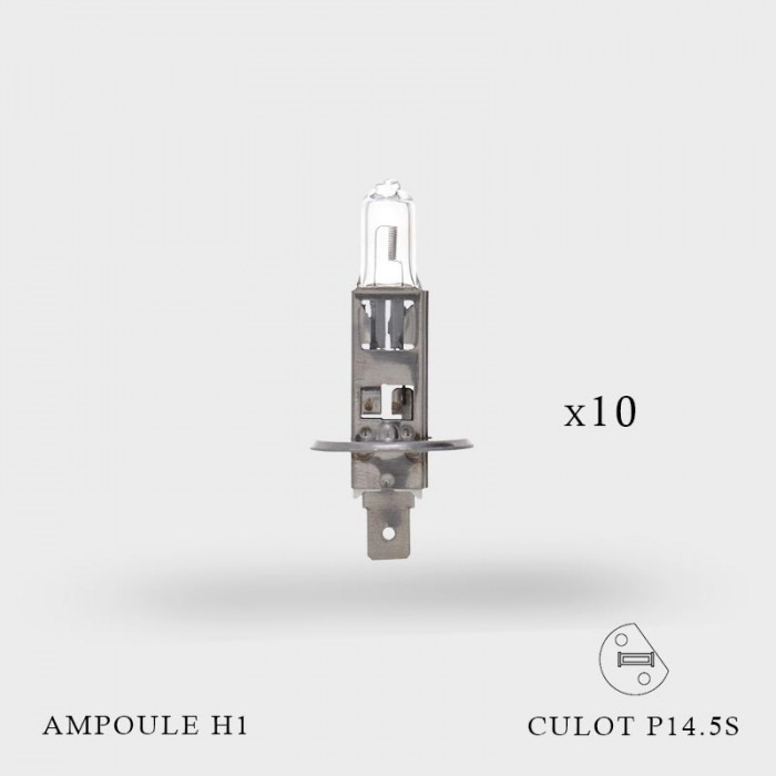 Ampoule H1 12V-55W Culot P14.5S à l'unité FrenchCleaner