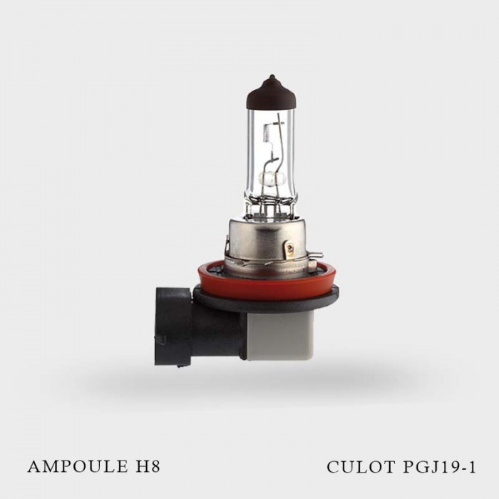 Ampoule H8 12V-35W culot PGJ19-1 FrenchCleaner
