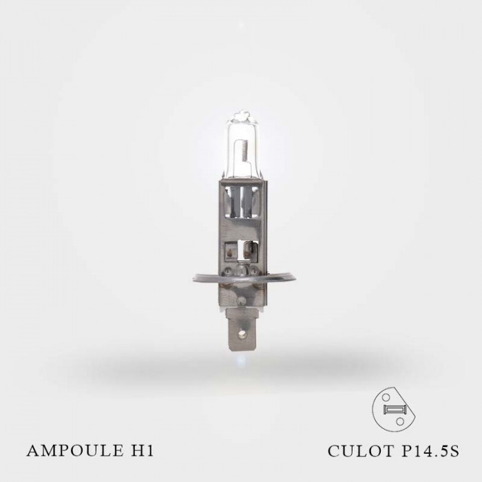 Ampoule H1 55W